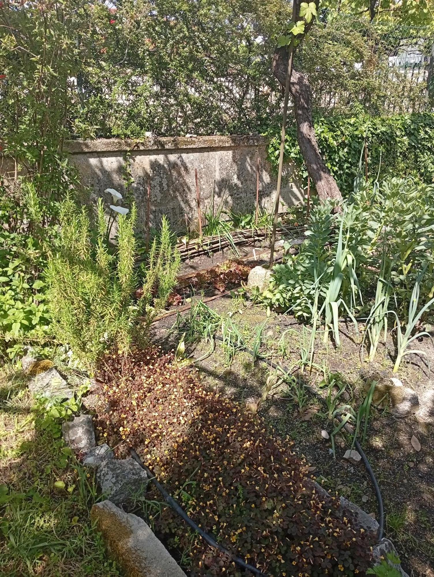 Casinha Da Horta Vila Soajo Exterior foto